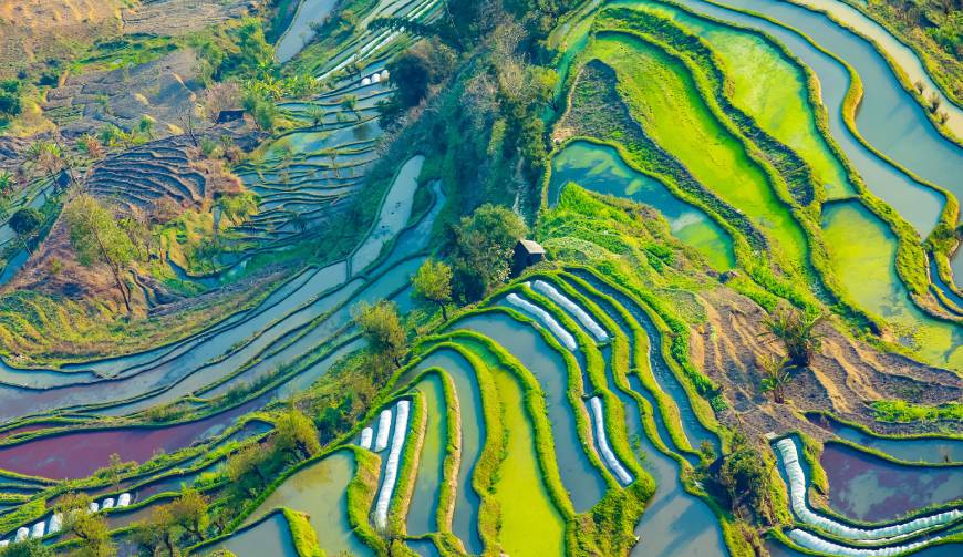 走进大名县TVC拍摄：解锁本地化场景与创意镜头的完美融合
